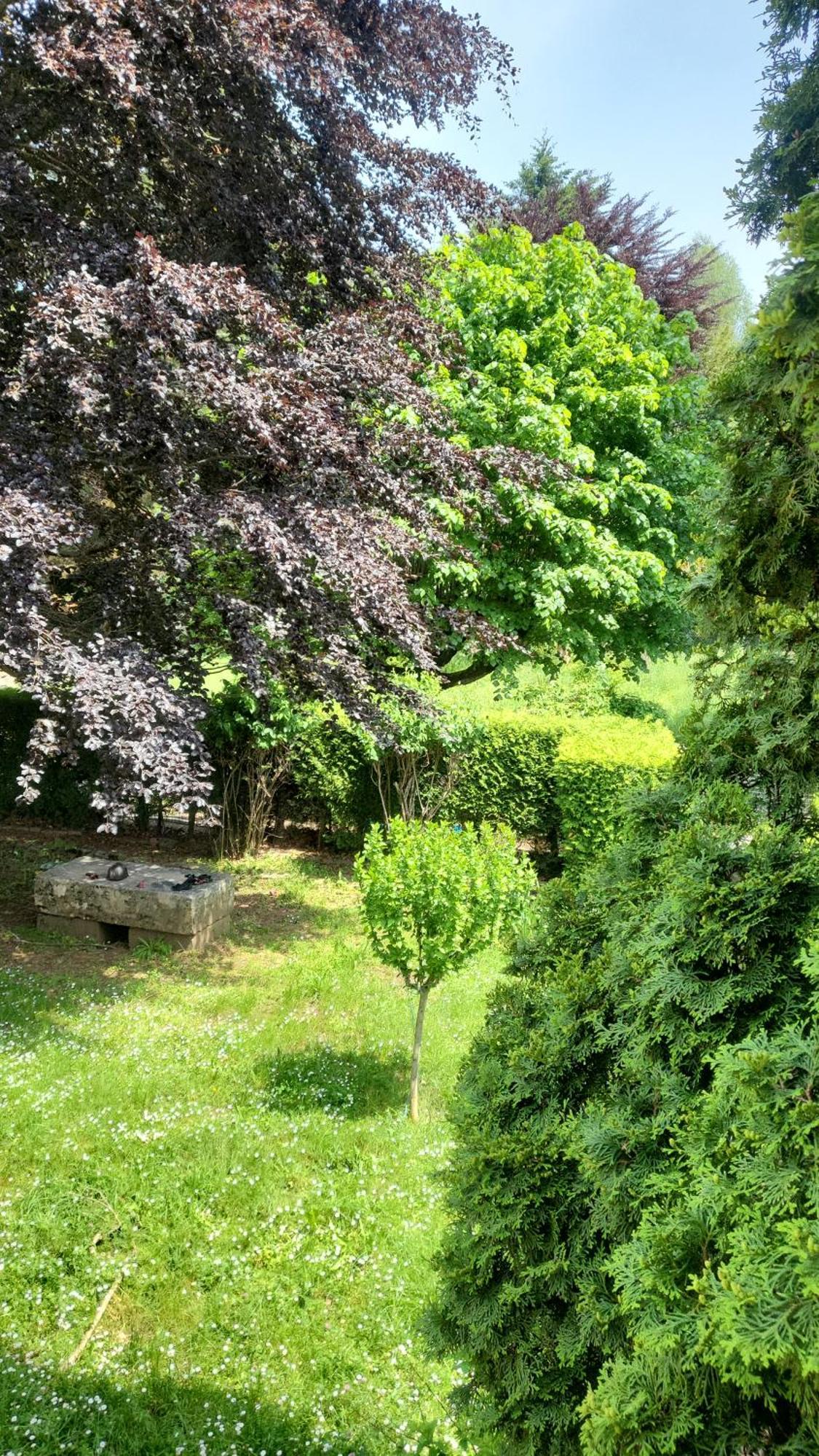 Goutanou Chambre 3 Chatillon-en-Michaille Luaran gambar
